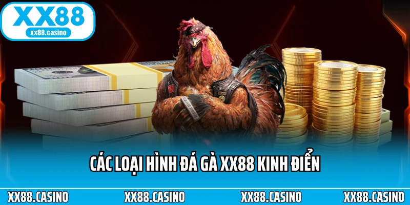 Các loại hình đá gà XX88 kinh điển
