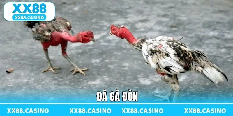 Ảnh đại diện đá gà đòn